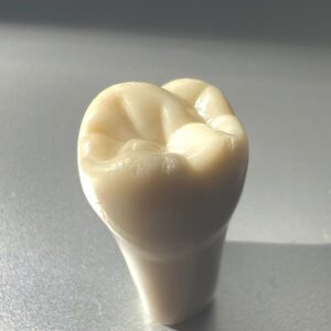 Adc plain teeth